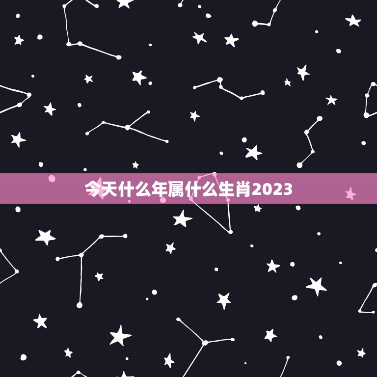 今天什么年属什么生肖2023，2023年是什么年？