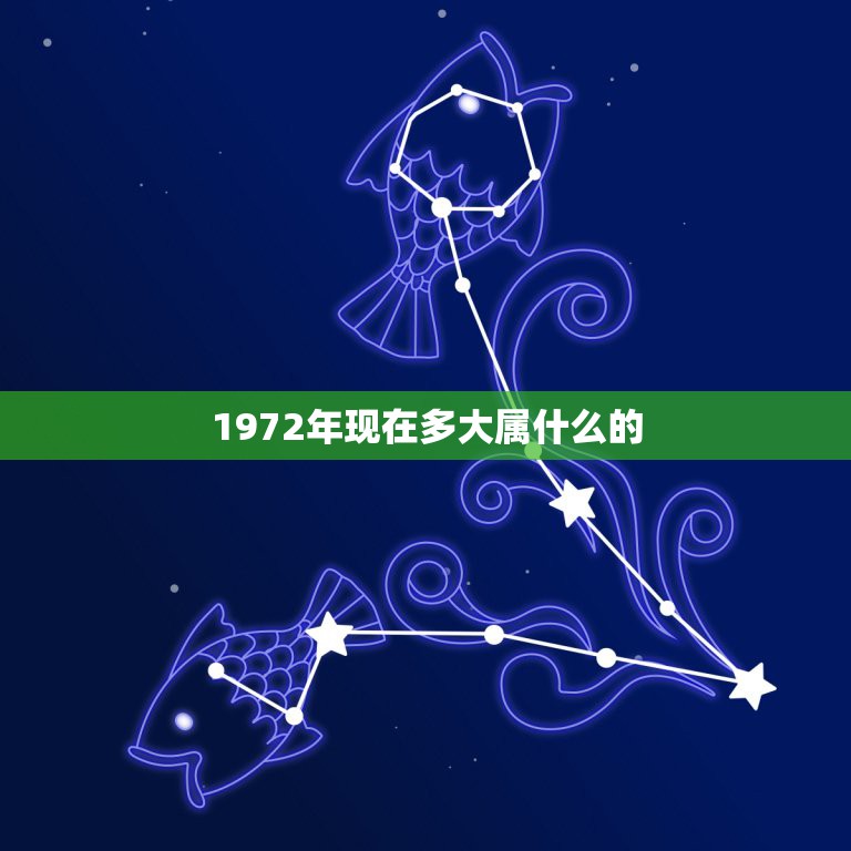 1972年现在多大属什么的，72年的 今年几岁 属什么 85年的今年几