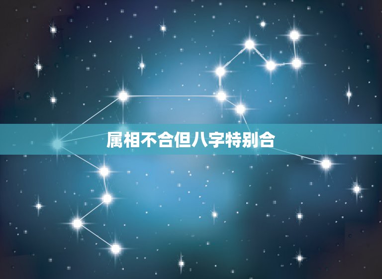 属相不合但八字特别合，生肖不合但八字合了五个字，但算命先生还是依生肖说