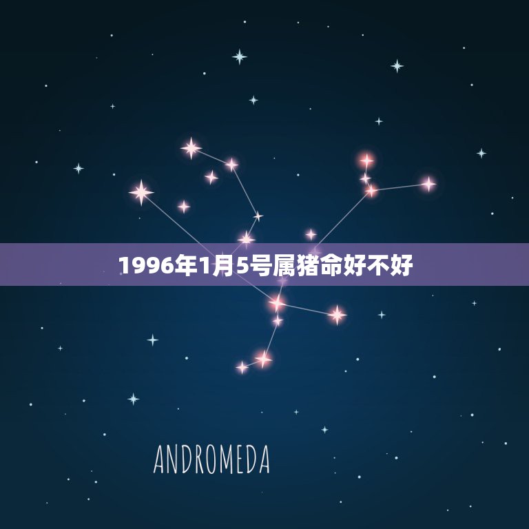 1996年1月5号属猪命好不好，属猪的命好吗