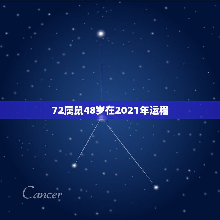 72属鼠48岁在2021年运程，鼠人2021年每月运程月运程