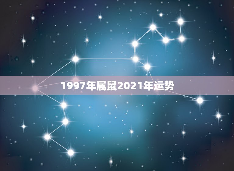 1997年属鼠2021年运势，2021鼠人全年运势