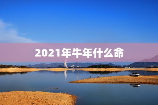 2021年牛年什么命，几月份牛是金牛命