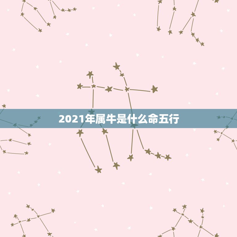 2021年属牛是什么命五行，夫妻都是火命，生个水命的孩子可以吗？