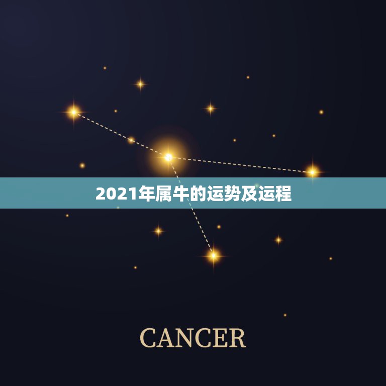 2021年属牛的运势及运程，2021年牛年运势