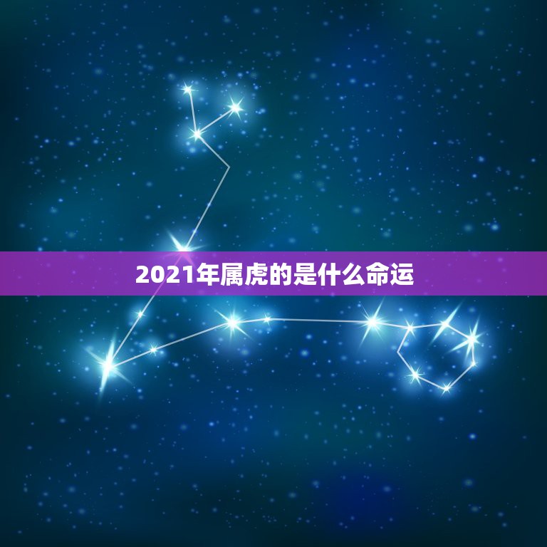 2021年属虎的是什么命运，2021年47岁属什么生肖