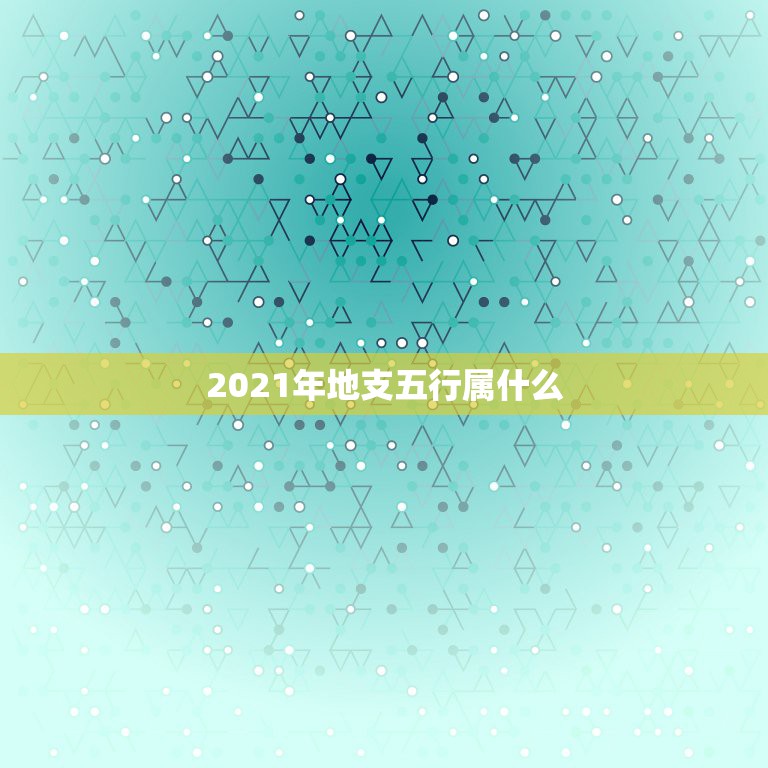 2021年地支五行属什么，2021年是什么牛五行属什么