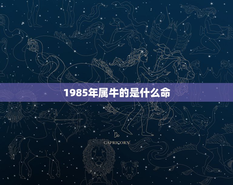 1985年属牛的是什么命，属牛1985年出生是什么命