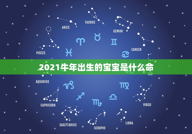 2021牛年出生的宝宝是什么命，2021年是什么牛五行属什么