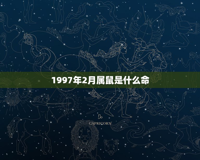 1997年2月属鼠是什么命，阳历1997年2月5日出生的人是属牛还是属