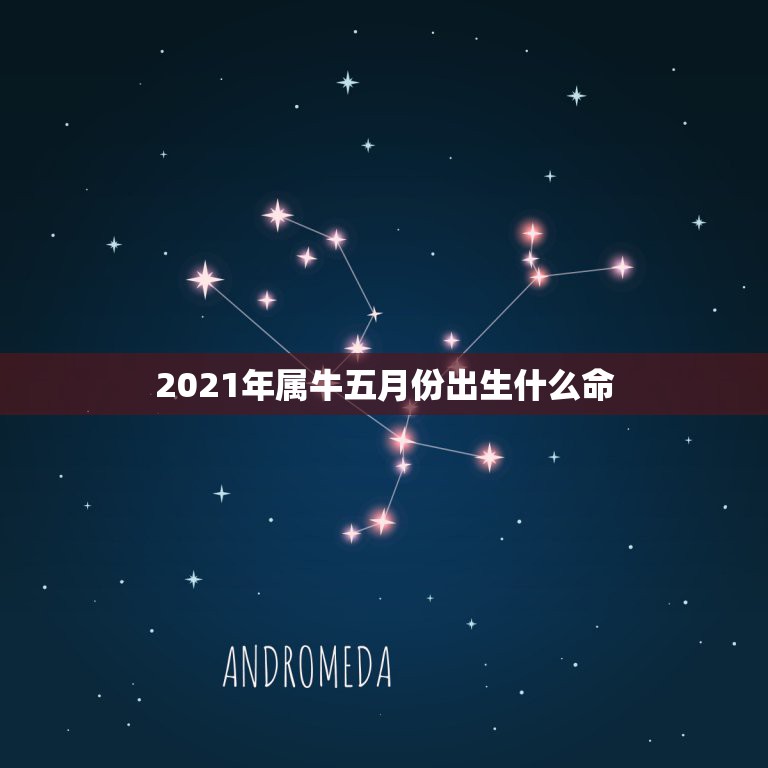 2021年属牛五月份出生什么命，2021年牛年是什么命