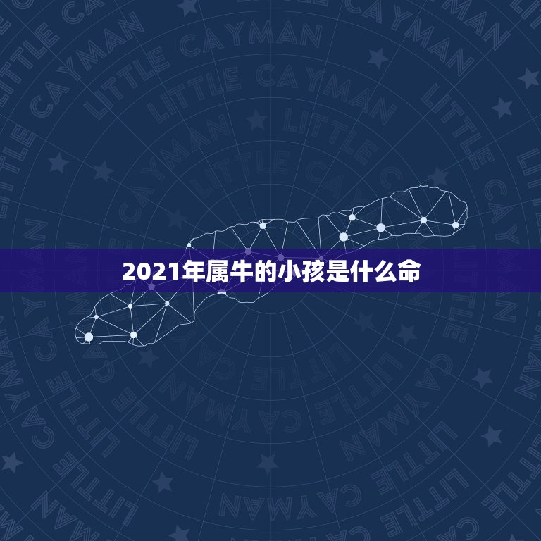 2021年属牛的小孩是什么命，2021年属牛是什么命