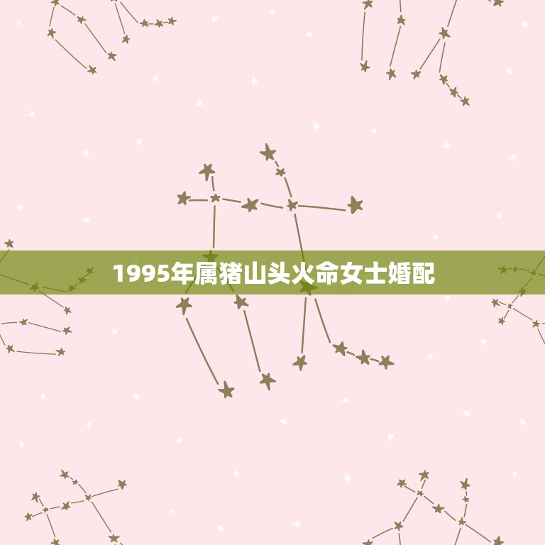 1995年属猪山头火命女士婚配，九五年的山头火女猪找什么属相的对象好和