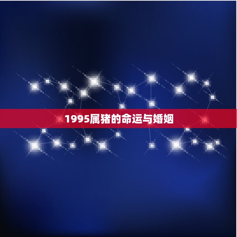 1995属猪的命运与婚姻，95年属猪的今年会找到女朋友么？