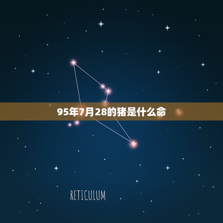 95年7月28的猪是什么命，属猪的男农历7月的好不好了