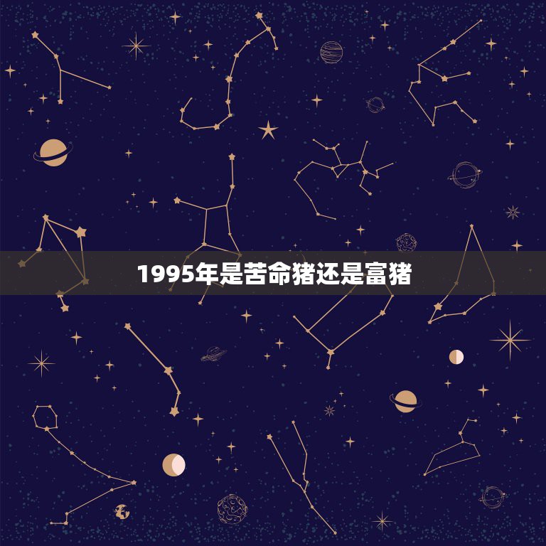 1995年是苦命猪还是富猪，1995年属猪的人是什么命