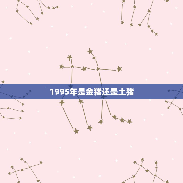 1995年是金猪还是土猪，1995年是火猪年还是土猪年还是金猪年