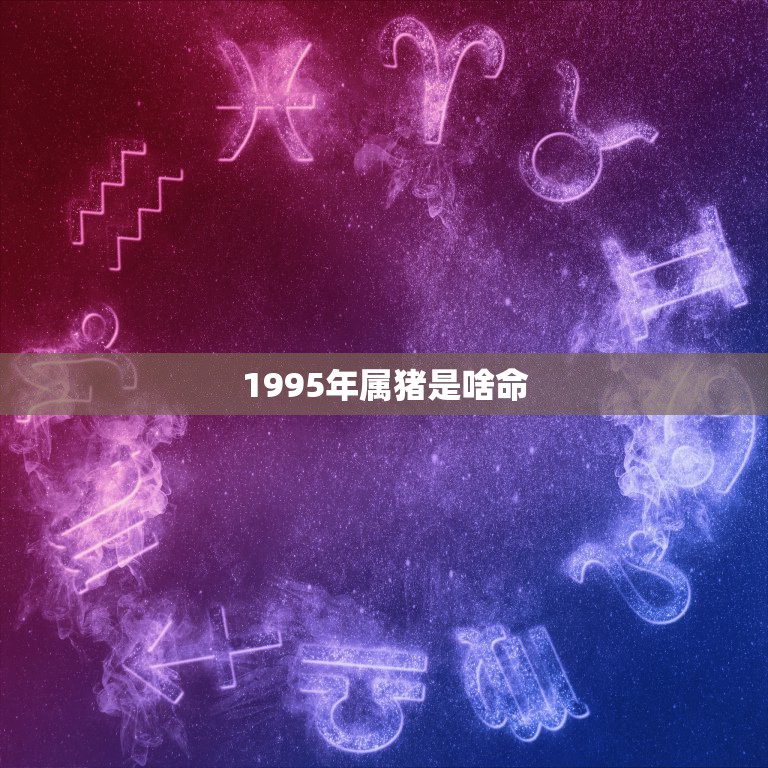 1995年属猪是啥命，1995年是什么命