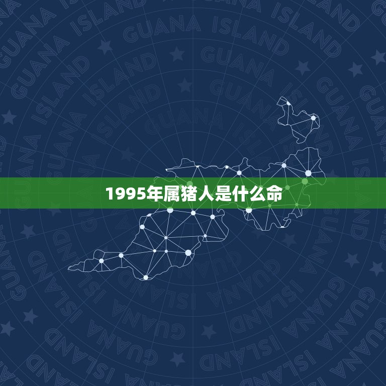 1995年属猪人是什么命，1995年属猪的人是什么命