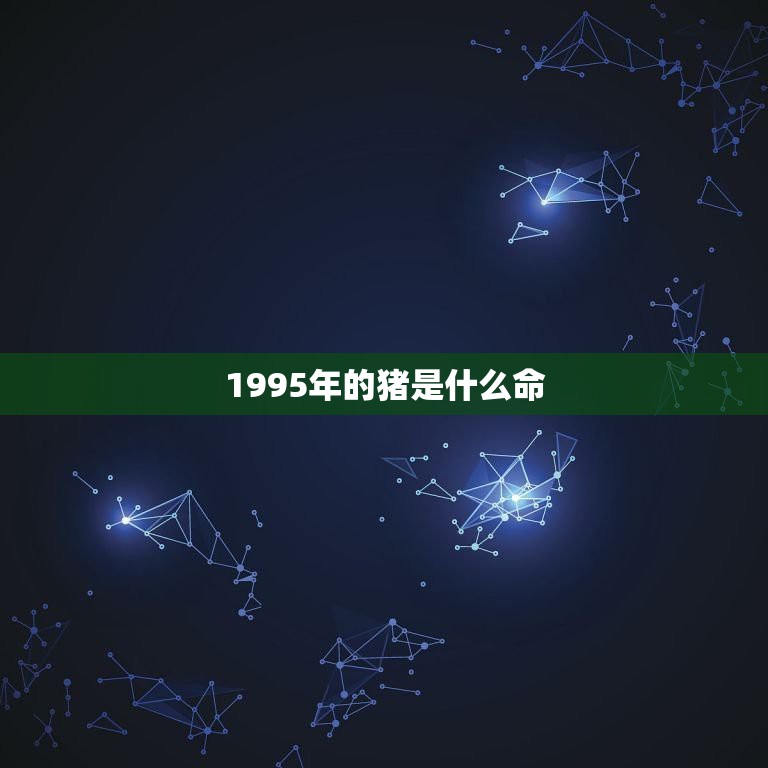 1995年的猪是什么命，1995年是什么命？1995年出生的属猪人的命