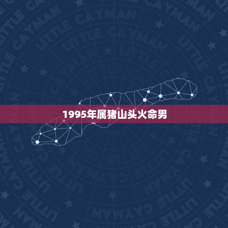 1995年属猪山头火命男，男1995属猪 山头火命 和女2001属蛇白