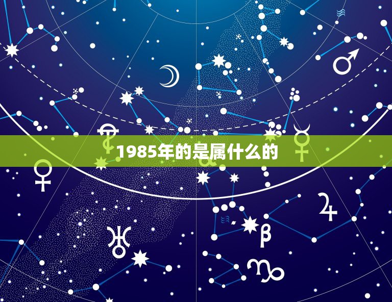 1985年的是属什么的，属牛1985年出生是什么命