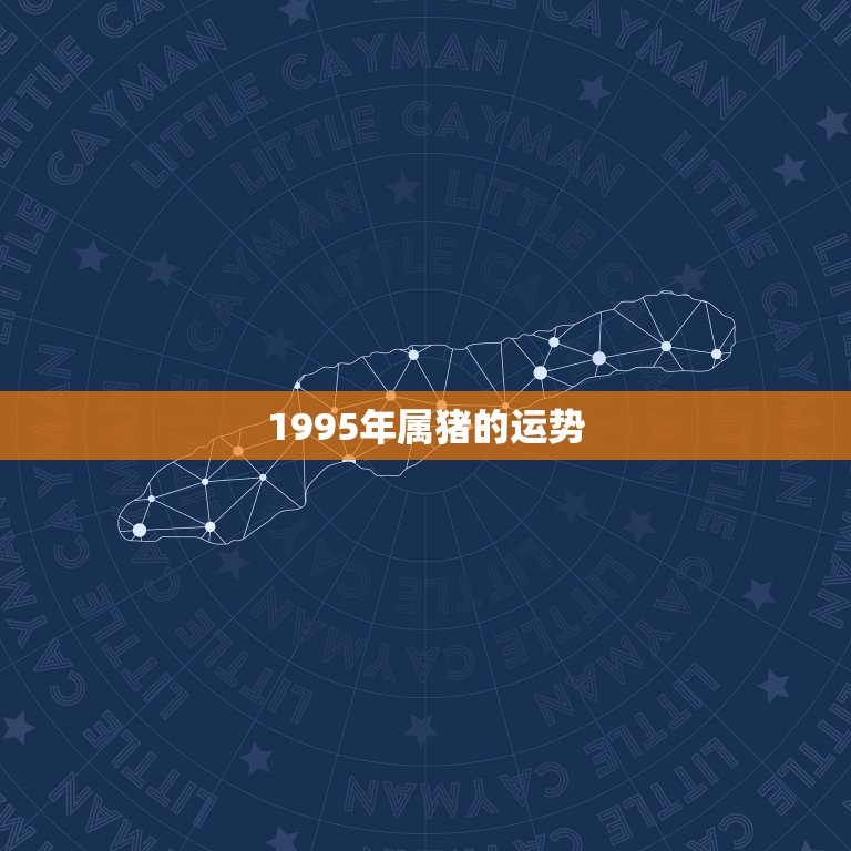 1995年属猪的运势，95年属猪男2015年每月运势