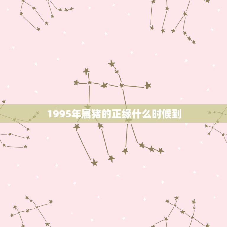 1995年属猪的正缘什么时候到，95年属猪哪年遇到另一半