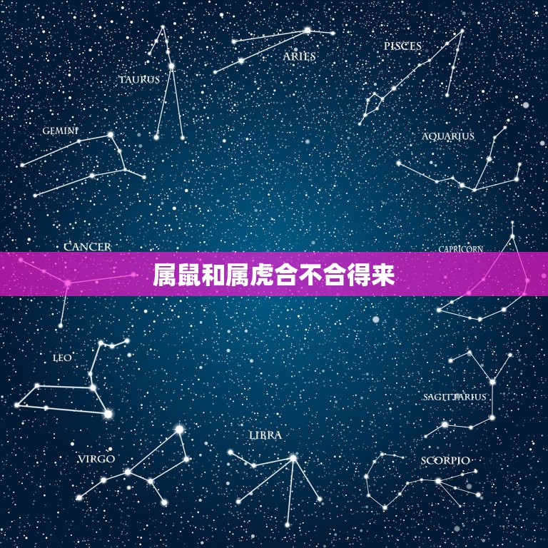 属鼠和属虎合不合得来，属虎的和属鼠的属相合不合