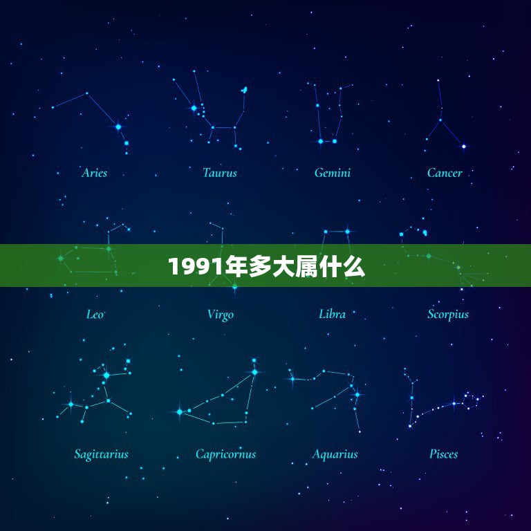 1991年多大属什么，1991年属什么今年多大