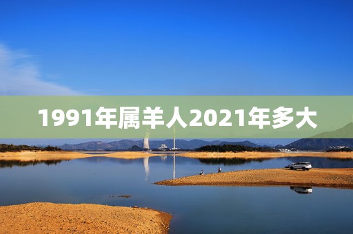 1991年属羊人2021年多大，2021年属羊多大岁数