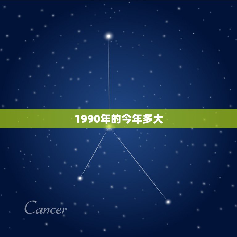 1990年的今年多大，90年出生的今年多大啊？周岁多少？虚岁呢？