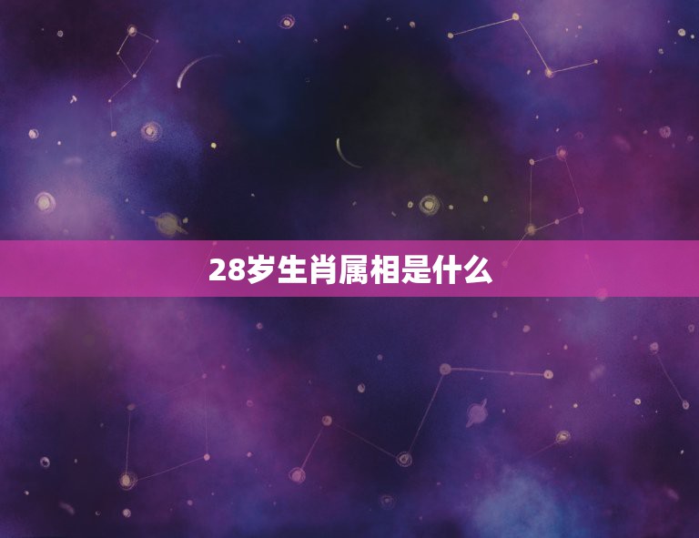 28岁生肖属相是什么，一个人28岁生肖属什么