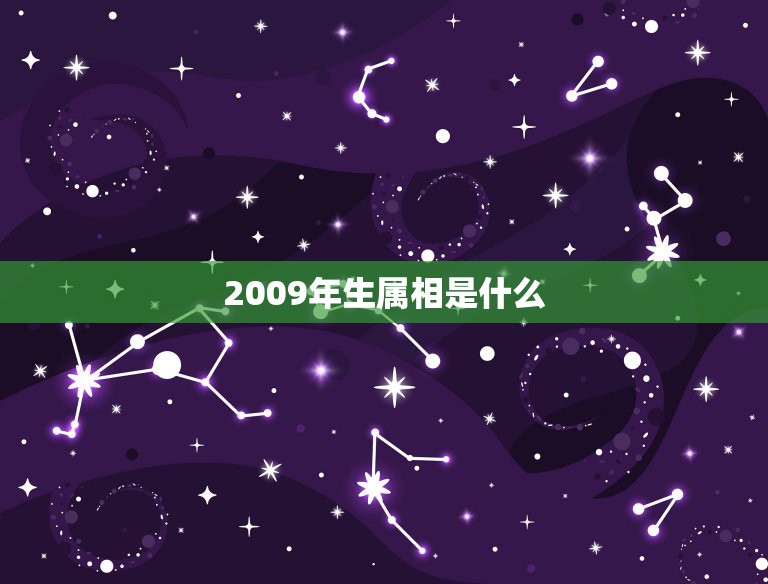 2009年生属相是什么，2009年是什么属相