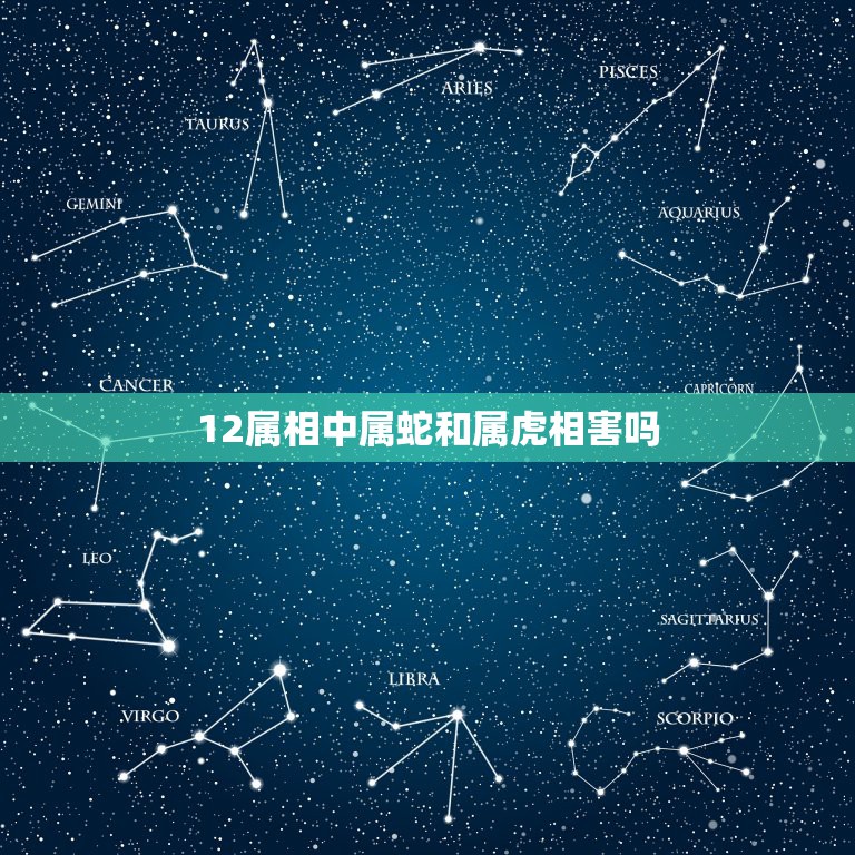 12属相中属蛇和属虎相害吗，属虎和属蛇的好吗