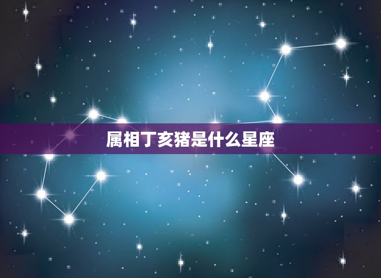 属相丁亥猪是什么星座，属猪的人是什么星座