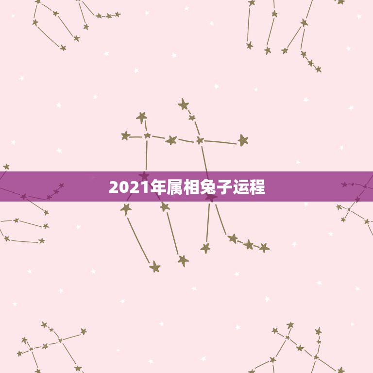 2021年属相兔子运程，2021年属兔人的运程如何？