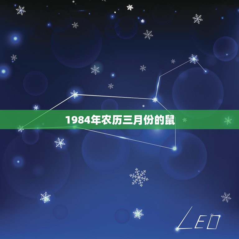 1984年农历三月份的鼠，三月一日的老鼠命运好吗