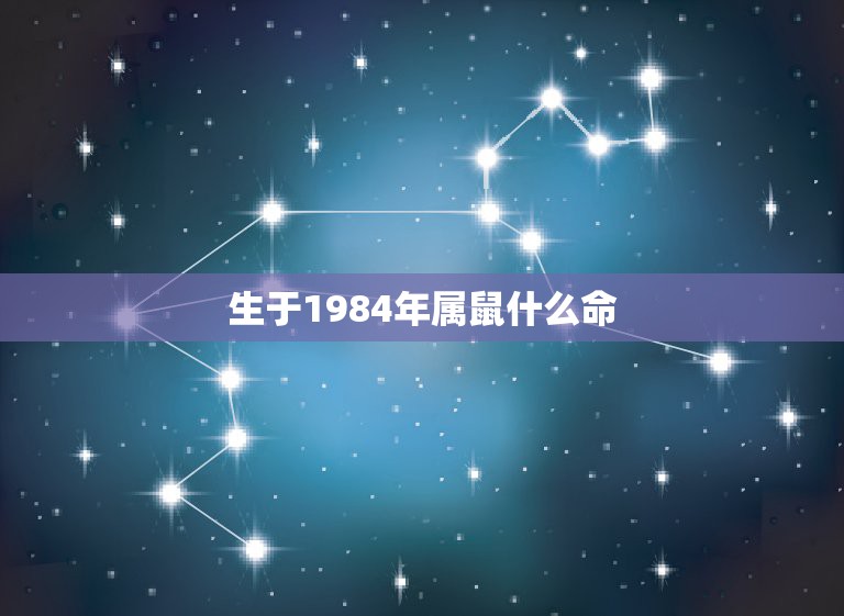 生于1984年属鼠什么命，2021年鼠人运势运程1984