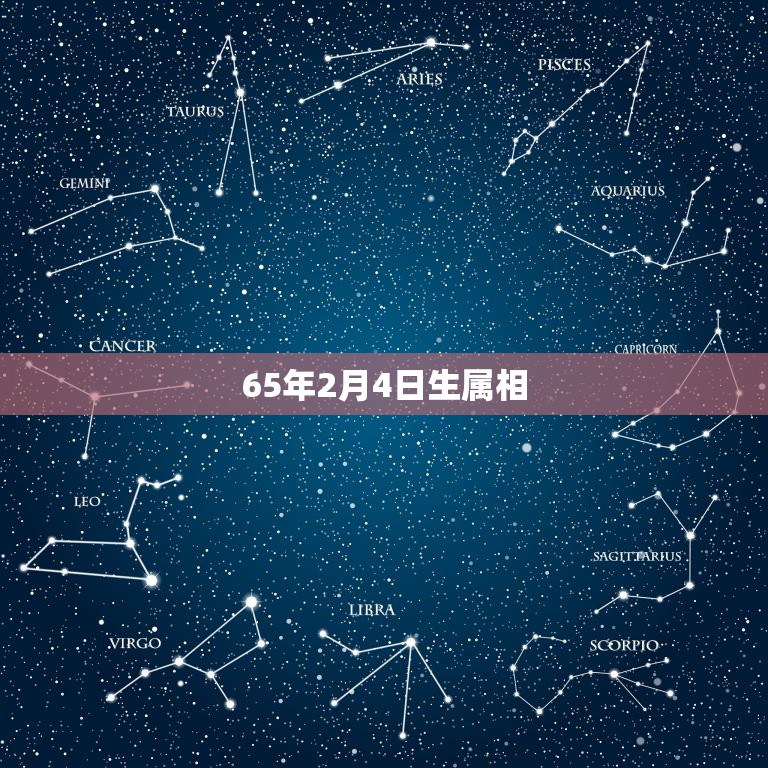 65年2月4日生属相，请问：1965年出生的人属什么？