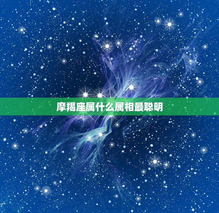 摩羯座属什么属相最聪明，12星座中最聪明，智商最高的是哪个星座，它是什