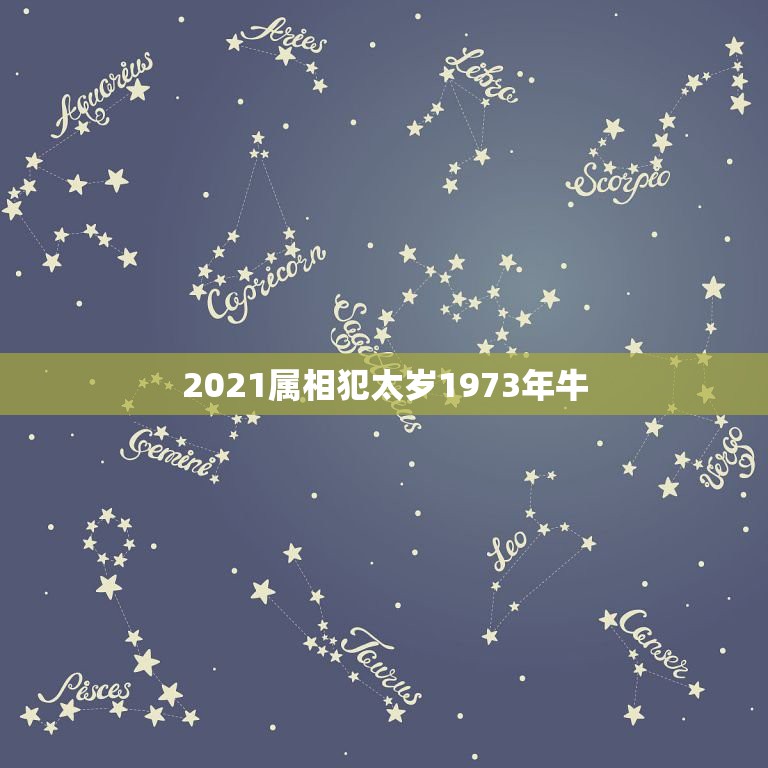 2021属相犯太岁1973年牛，2023年属鼠犯太岁怎么办，如何化解？