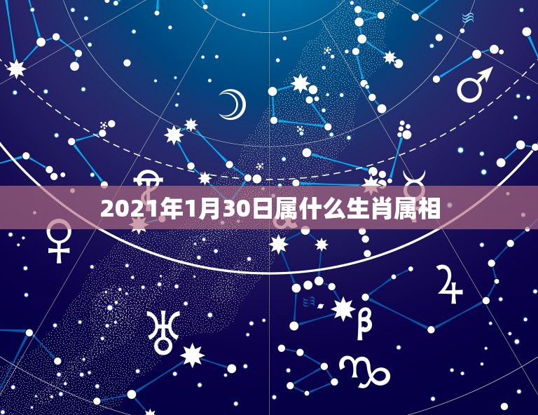 2021年1月30日属什么生肖属相，阳历2021年1月出生身份证上是什