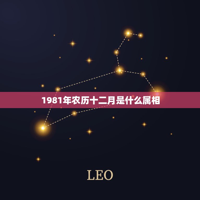 1981年农历十二月是什么属相，1981年属鸡人12个月份出生的命运