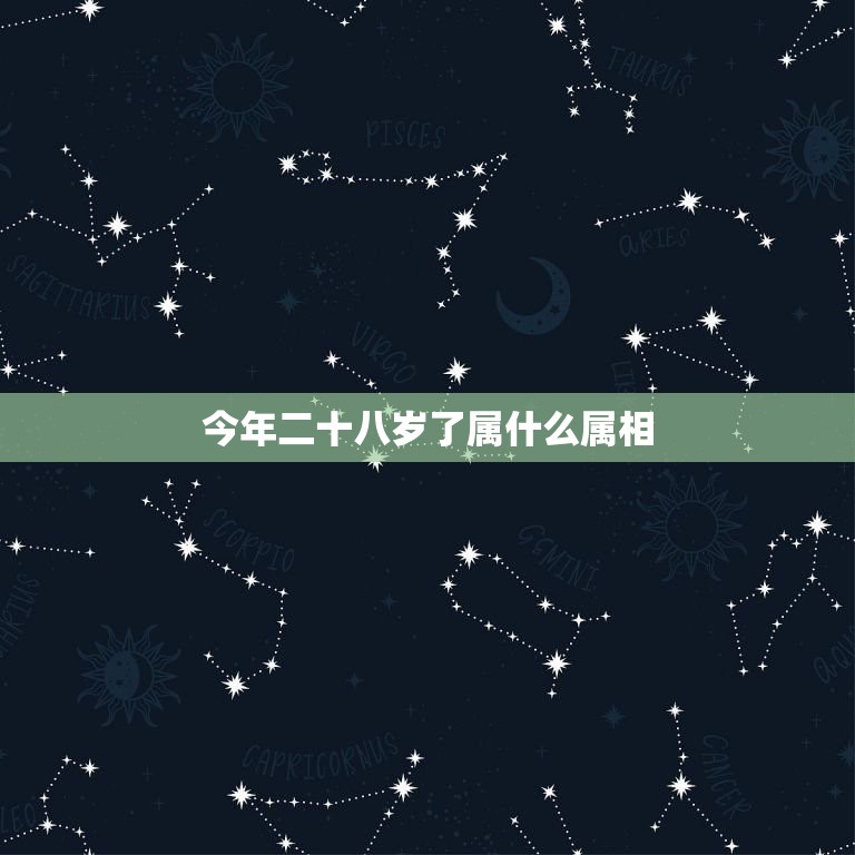 今年二十八岁了属什么属相，今年二十八岁属什么