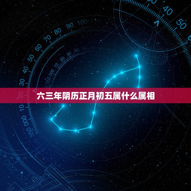 六三年阴历正月初五属什么属相，↘1963年农历正月初五日算命时属虎还是