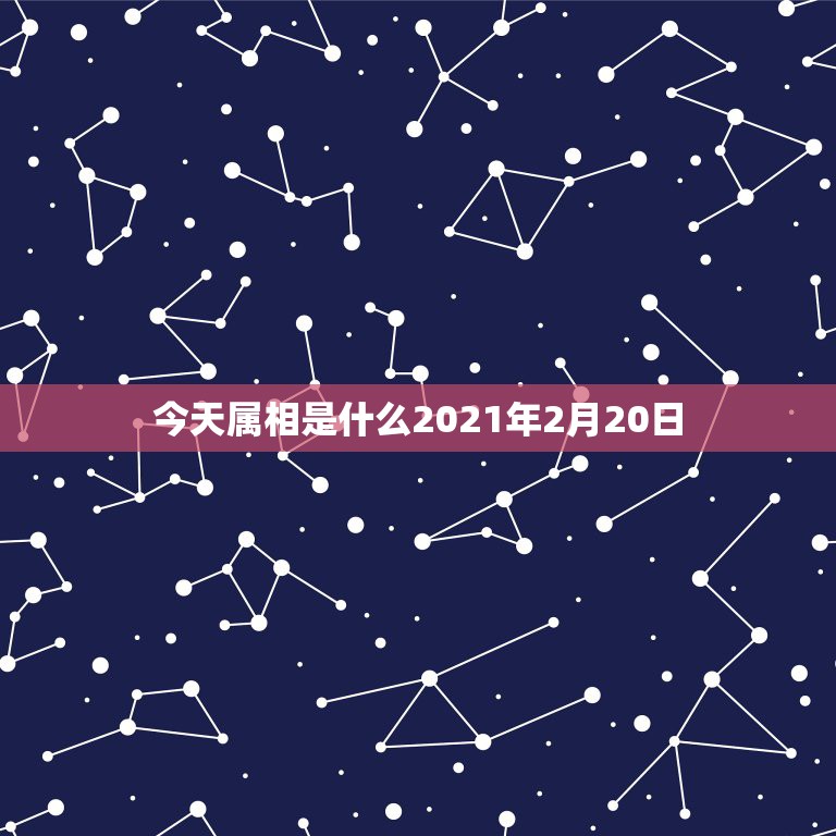 今天属相是什么2021年2月20日，2019年2月11日今天属什么生肖