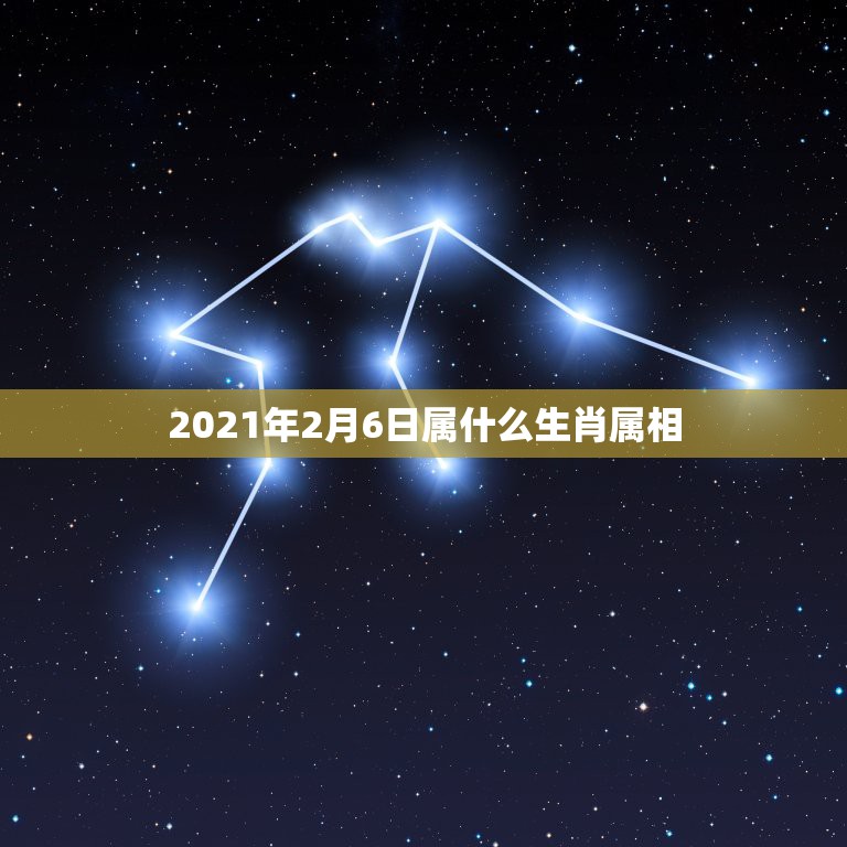 2021年2月6日属什么生肖属相，2021年2月8日属什么生肖