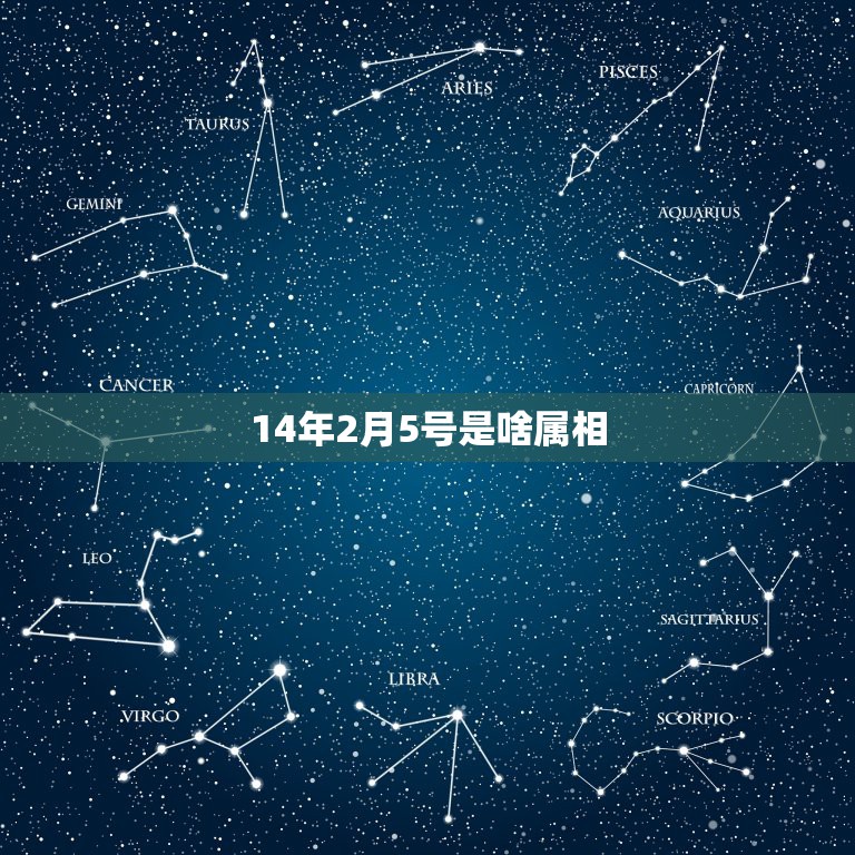 14年2月5号是啥属相，阳历2016年2月5号出生的人是什么属相