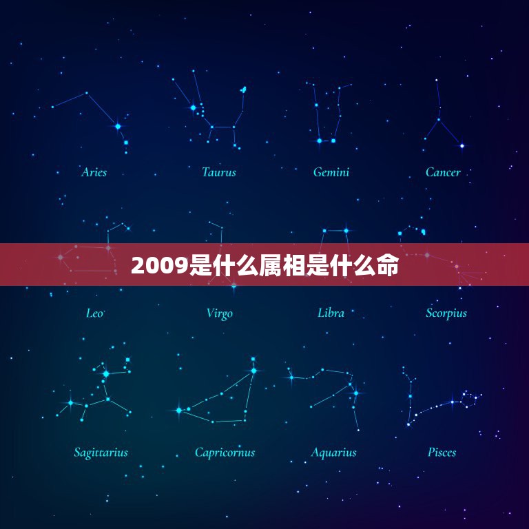 2009是什么属相是什么命，2009年是什么生肖年？